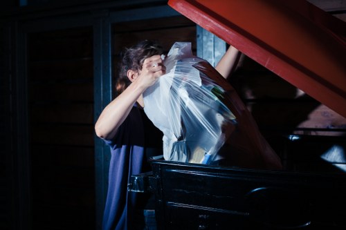 Environmental sustainability in grab hire